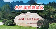 大鸡巴好骚好想要在线观看