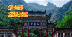熟妇操逼